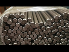 กลม แบร์สดใส